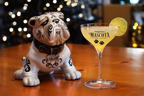 The Link Between Tequila Mascots and Price Perception Among Different Consumer Groups